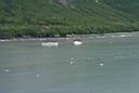 P0001421.jpg: Third Port Hubbard Glacier