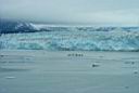 P0001466.jpg: Third Port Hubbard Glacier