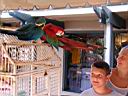 P1010253.jpg: Matt & Sam, and birds at Coligny Plaza